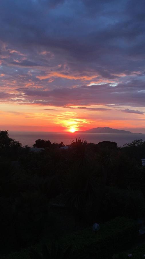 Villa Damecuta B&B Anacapri (Isola di Capri) Exterior foto