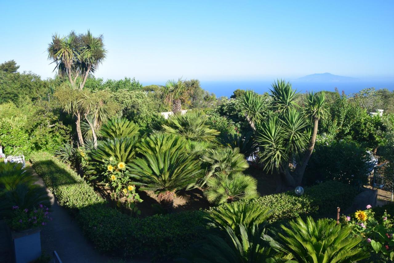 Villa Damecuta B&B Anacapri (Isola di Capri) Exterior foto