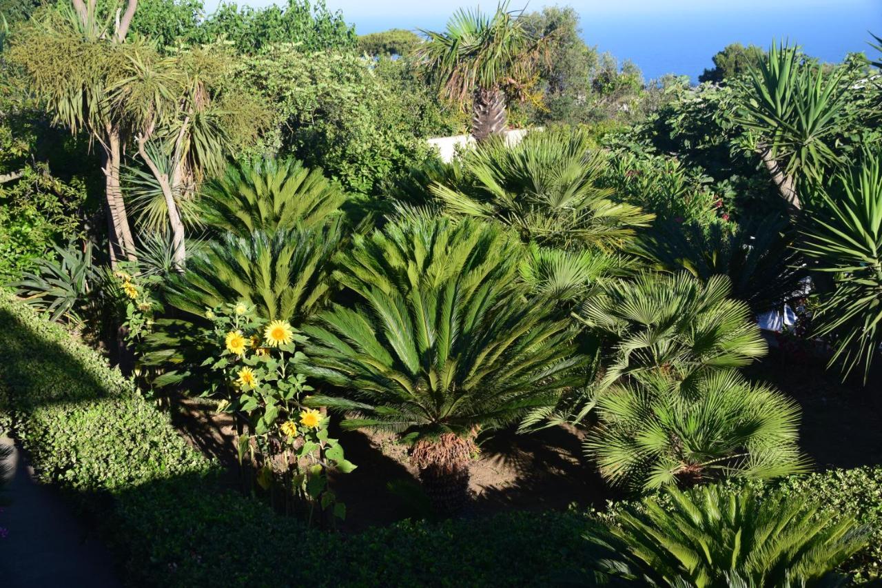 Villa Damecuta B&B Anacapri (Isola di Capri) Exterior foto