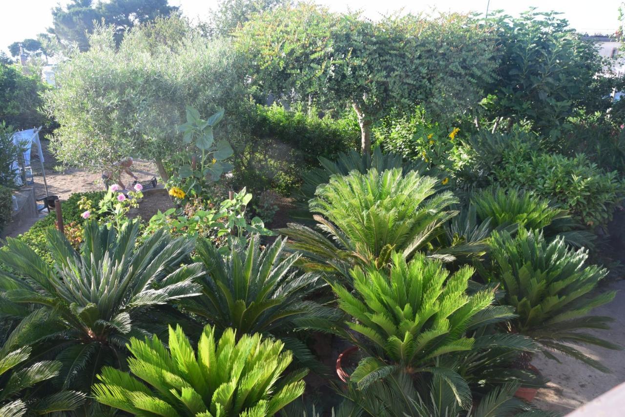 Villa Damecuta B&B Anacapri (Isola di Capri) Exterior foto